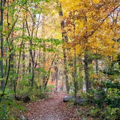 Burke Lake Campground near Warrenton VA