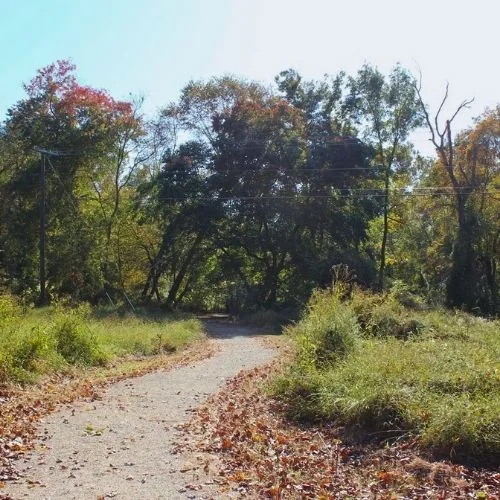 Fall Festival at Leopold's Preserve
