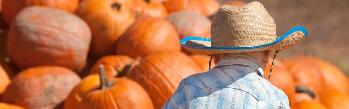 Best Pumpkin Patches in Warrenton VA