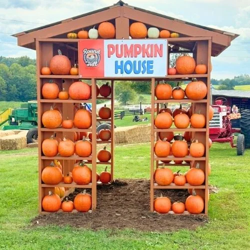Round Hill Farm pumpkin patch